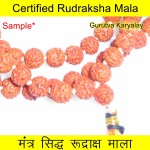 6 MM 5 Mukhi Rudraksha Mala Lab Certified